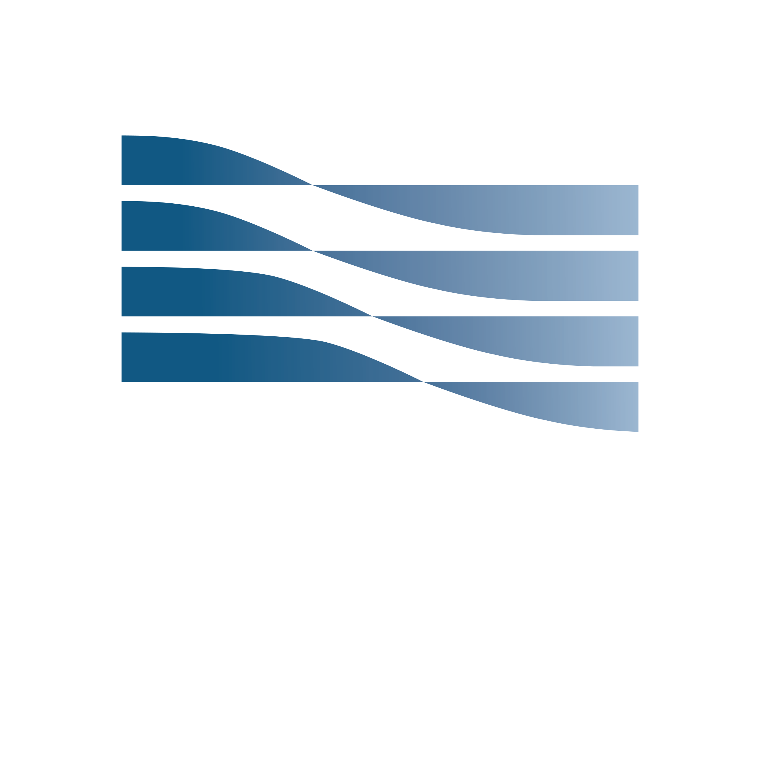 NPM
